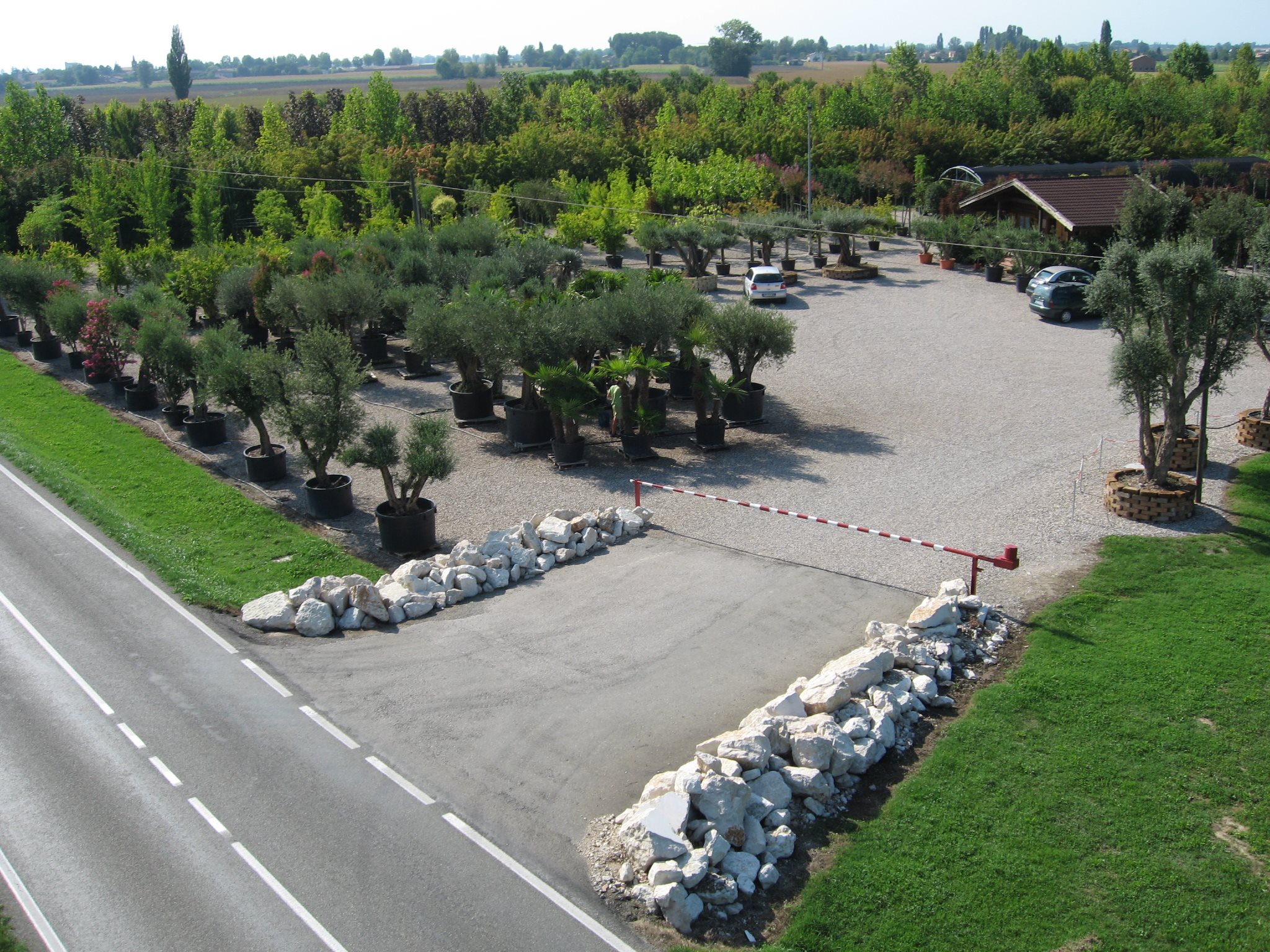 previdiguido_origini